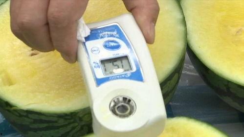 上海确诊 吃瓜,吃瓜群众热议疫情动态 第2张 上海确诊 吃瓜,吃瓜群众热议疫情动态 第2张